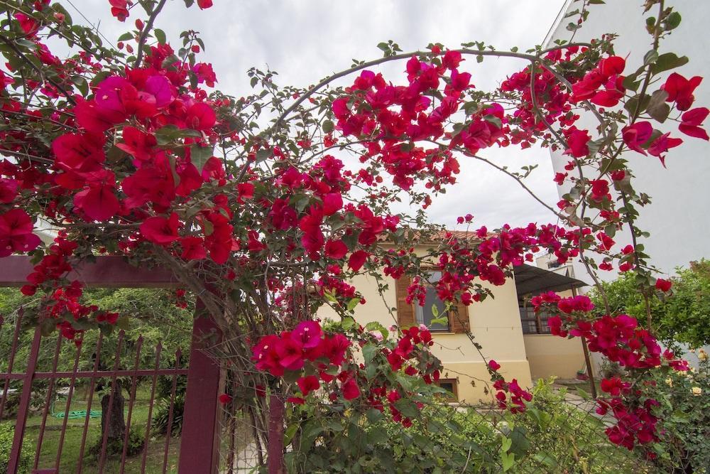 Traditional Near The And Center Vr Hotel Kalamata